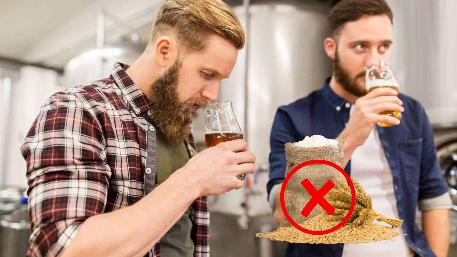 Lee más sobre el artículo Cerveza sin malta de cebada: Nuevas Alternativas para Probar